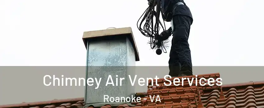  Chimney Air Vent Services Roanoke - VA