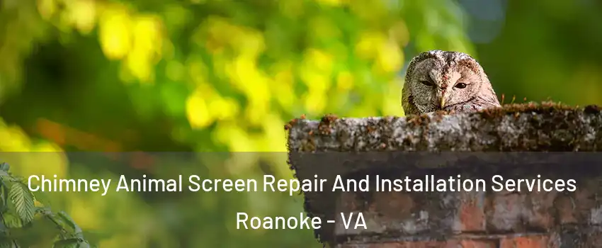  Chimney Animal Screen Repair And Installation Services Roanoke - VA