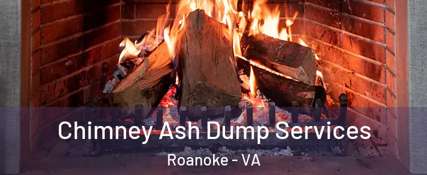  Chimney Ash Dump Services Roanoke - VA