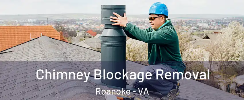 Chimney Blockage Removal Roanoke - VA