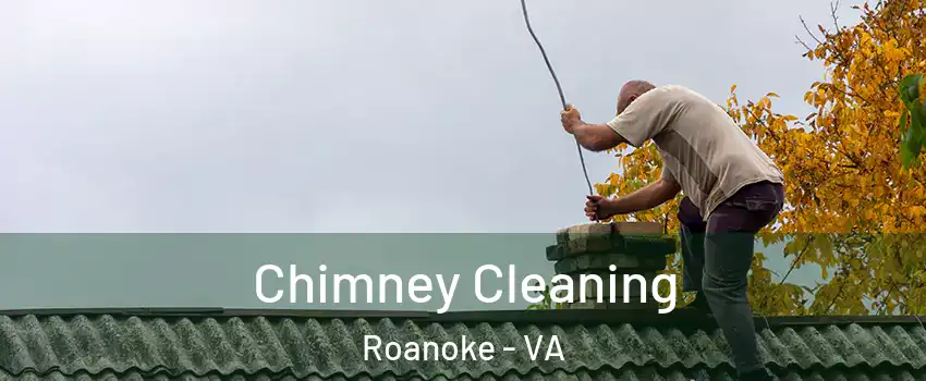  Chimney Cleaning Roanoke - VA