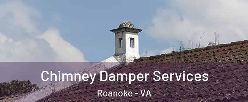  Chimney Damper Services Roanoke - VA