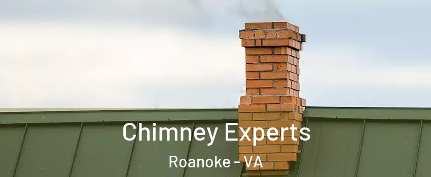 Chimney Experts Roanoke - VA