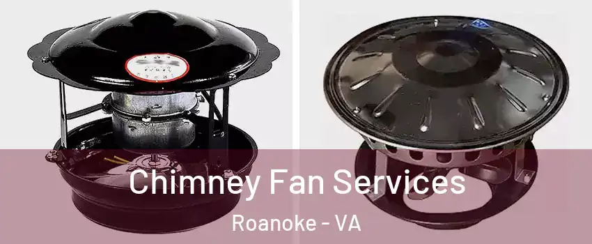  Chimney Fan Services Roanoke - VA