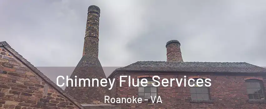  Chimney Flue Services Roanoke - VA