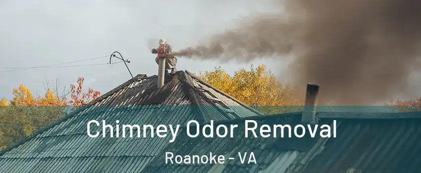  Chimney Odor Removal Roanoke - VA