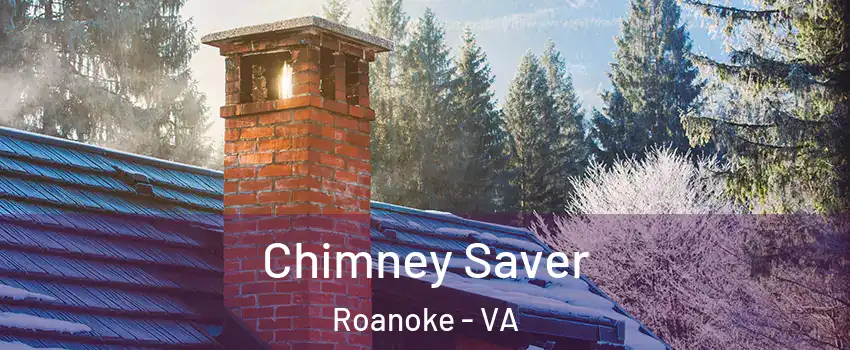  Chimney Saver Roanoke - VA