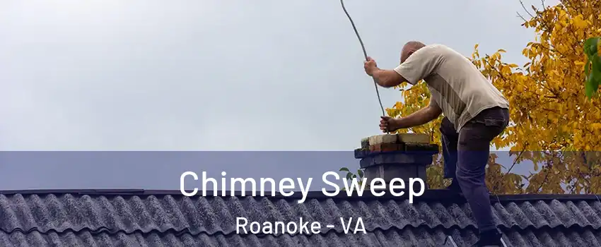  Chimney Sweep Roanoke - VA