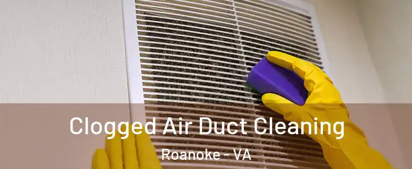  Clogged Air Duct Cleaning Roanoke - VA