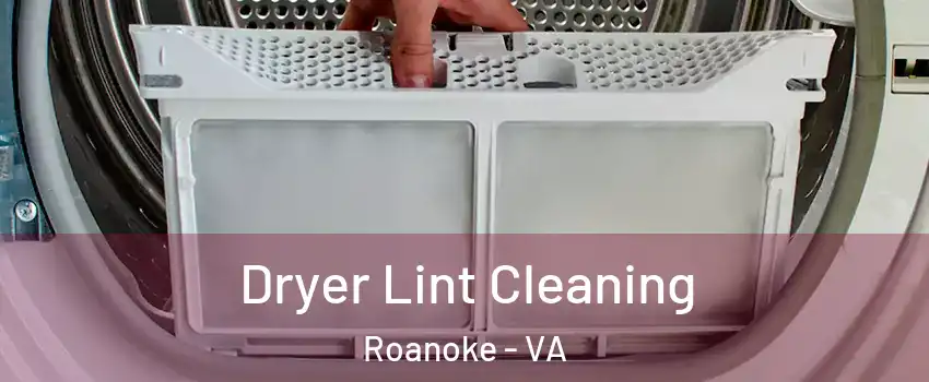  Dryer Lint Cleaning Roanoke - VA