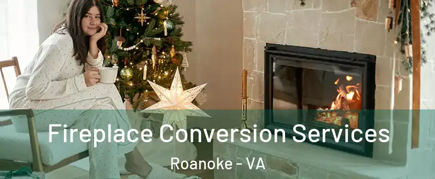  Fireplace Conversion Services Roanoke - VA