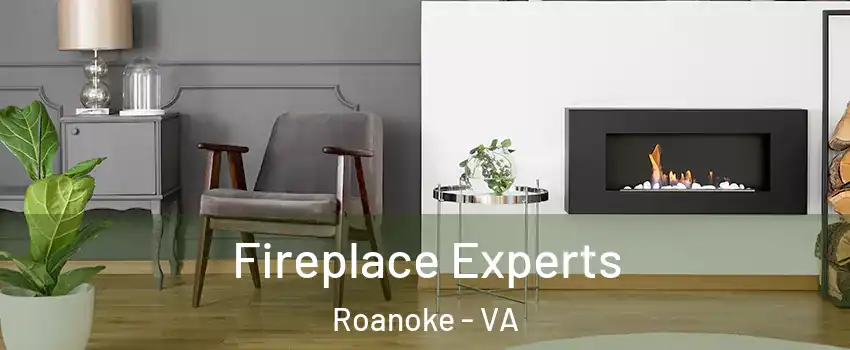  Fireplace Experts Roanoke - VA