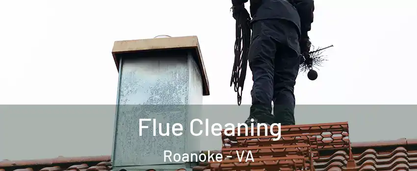  Flue Cleaning Roanoke - VA