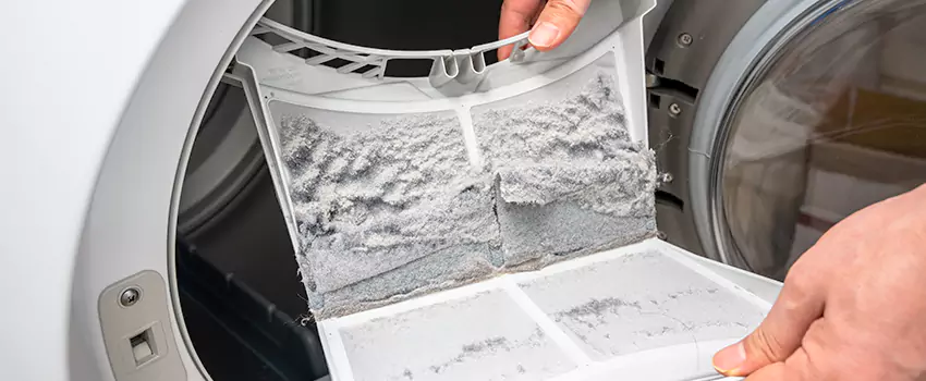 Best Dryer Lint Removal Company in Roanoke, Virginia