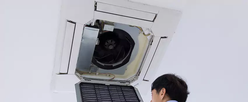 Benefits of Professional Air Duct Cleaning in Roanoke, Virginia