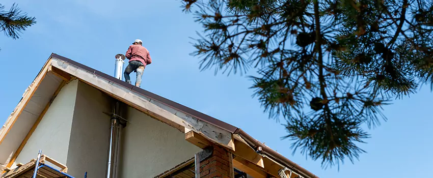 Birds Removal Contractors from Chimney in Roanoke, VA