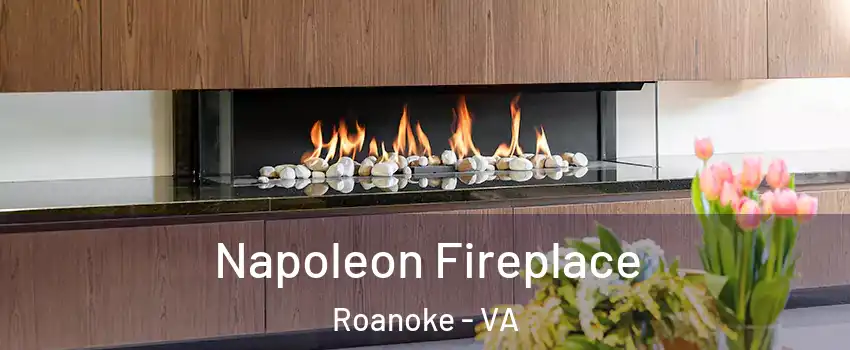  Napoleon Fireplace Roanoke - VA
