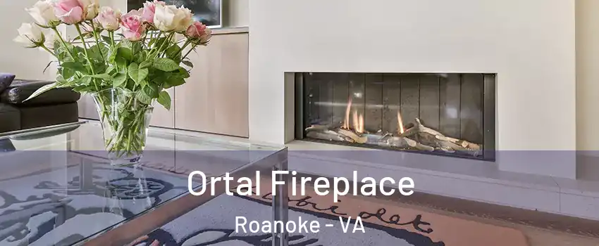 Ortal Fireplace Roanoke - VA